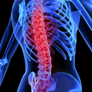 spine Spinal healing at Chicago Chiropractic