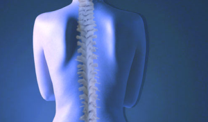 Chiropractor Chiropractor - Chiropractor Chicago