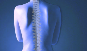 Chiropractor - Chiropractor Chicago