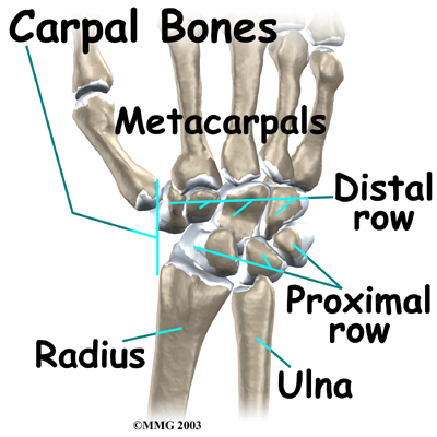 Wrist Anatomy and Chiropractic Care in Chicago