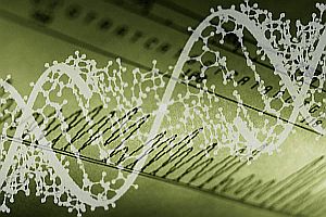 double-helix-200-300